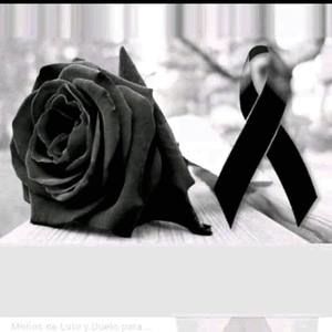 Meet your Posher, Kevin adelso